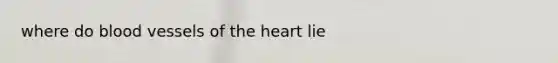 where do <a href='https://www.questionai.com/knowledge/kZJ3mNKN7P-blood-vessels' class='anchor-knowledge'>blood vessels</a> of <a href='https://www.questionai.com/knowledge/kya8ocqc6o-the-heart' class='anchor-knowledge'>the heart</a> lie