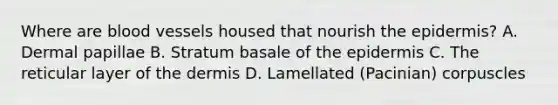 Where are blood vessels housed that nourish the epidermis? A. Dermal papillae B. Stratum basale of the epidermis C. The reticular layer of the dermis D. Lamellated (Pacinian) corpuscles