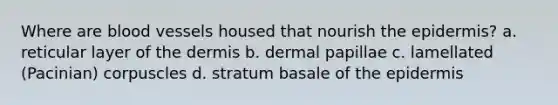 Where are blood vessels housed that nourish the epidermis? a. reticular layer of the dermis b. dermal papillae c. lamellated (Pacinian) corpuscles d. stratum basale of the epidermis