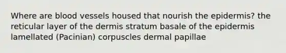 Where are blood vessels housed that nourish the epidermis? the reticular layer of the dermis stratum basale of the epidermis lamellated (Pacinian) corpuscles dermal papillae