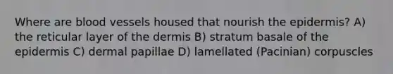 Where are blood vessels housed that nourish the epidermis? A) the reticular layer of the dermis B) stratum basale of the epidermis C) dermal papillae D) lamellated (Pacinian) corpuscles