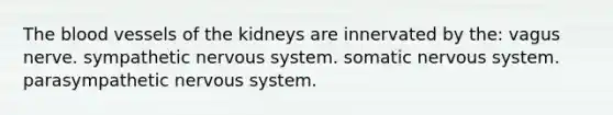 The blood vessels of the kidneys are innervated by the: vagus nerve. sympathetic nervous system. somatic nervous system. parasympathetic nervous system.