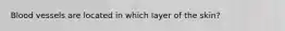 Blood vessels are located in which layer of the skin?