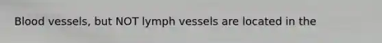 Blood vessels, but NOT lymph vessels are located in the