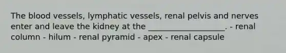 The blood vessels, lymphatic vessels, renal pelvis and nerves enter and leave the kidney at the ___________________. - renal column - hilum - renal pyramid - apex - renal capsule