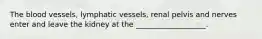 The blood vessels, lymphatic vessels, renal pelvis and nerves enter and leave the kidney at the ___________________.