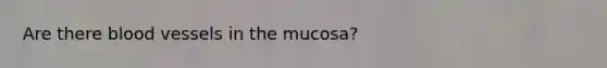 Are there blood vessels in the mucosa?