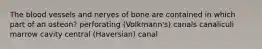 The blood vessels and nerves of bone are contained in which part of an osteon? perforating (Volkmann's) canals canaliculi marrow cavity central (Haversian) canal