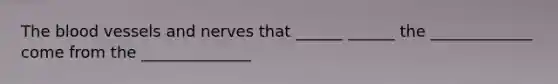 The blood vessels and nerves that ______ ______ the _____________ come from the ______________