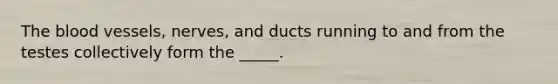 The blood vessels, nerves, and ducts running to and from the testes collectively form the _____.