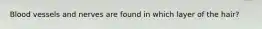 Blood vessels and nerves are found in which layer of the hair?