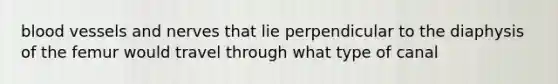 blood vessels and nerves that lie perpendicular to the diaphysis of the femur would travel through what type of canal