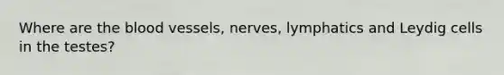 Where are the blood vessels, nerves, lymphatics and Leydig cells in the testes?