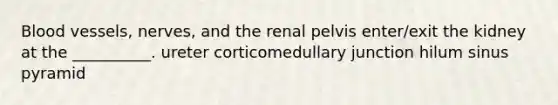 Blood vessels, nerves, and the renal pelvis enter/exit the kidney at the __________. ureter corticomedullary junction hilum sinus pyramid