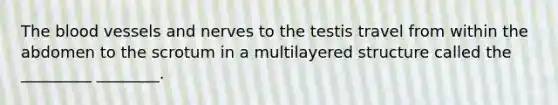 <a href='https://www.questionai.com/knowledge/k7oXMfj7lk-the-blood' class='anchor-knowledge'>the blood</a> vessels and nerves to the testis travel from within the abdomen to the scrotum in a multilayered structure called the _________ ________.