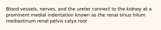 Blood vessels, nerves, and the ureter connect to the kidney at a prominent medial indentation known as the renal sinus hilum mediastinum renal pelvis calyx root