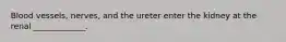 Blood vessels, nerves, and the ureter enter the kidney at the renal _____________.