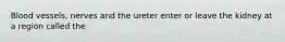Blood vessels, nerves and the ureter enter or leave the kidney at a region called the