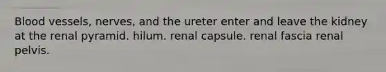 Blood vessels, nerves, and the ureter enter and leave the kidney at the renal pyramid. hilum. renal capsule. renal fascia renal pelvis.