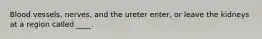 Blood vessels, nerves, and the ureter enter, or leave the kidneys at a region called ____.