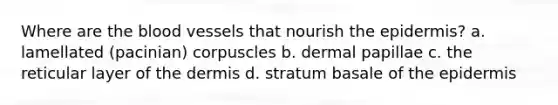 Where are the blood vessels that nourish the epidermis? a. lamellated (pacinian) corpuscles b. dermal papillae c. the reticular layer of the dermis d. stratum basale of the epidermis