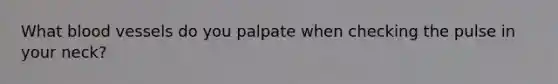 What <a href='https://www.questionai.com/knowledge/kZJ3mNKN7P-blood-vessels' class='anchor-knowledge'>blood vessels</a> do you palpate when checking the pulse in your neck?