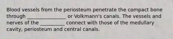 Blood vessels from the periosteum penetrate the compact bone through ________________ or Volkmann's canals. The vessels and nerves of the __________ connect with those of the medullary cavity, periosteum and central canals.