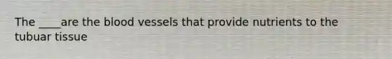 The ____are <a href='https://www.questionai.com/knowledge/k7oXMfj7lk-the-blood' class='anchor-knowledge'>the blood</a> vessels that provide nutrients to the tubuar tissue