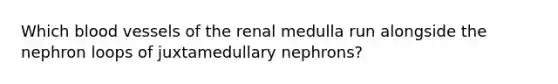 Which blood vessels of the renal medulla run alongside the nephron loops of juxtamedullary nephrons?