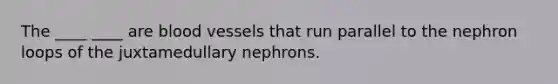 The ____ ____ are blood vessels that run parallel to the nephron loops of the juxtamedullary nephrons.