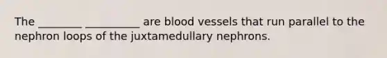 The ________ __________ are blood vessels that run parallel to the nephron loops of the juxtamedullary nephrons.