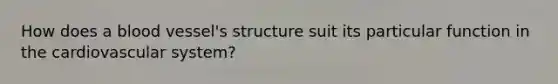 How does a blood vessel's structure suit its particular function in the cardiovascular system?