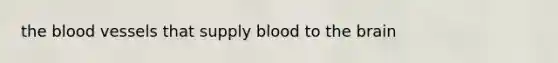 <a href='https://www.questionai.com/knowledge/k7oXMfj7lk-the-blood' class='anchor-knowledge'>the blood</a> vessels that supply blood to <a href='https://www.questionai.com/knowledge/kLMtJeqKp6-the-brain' class='anchor-knowledge'>the brain</a>