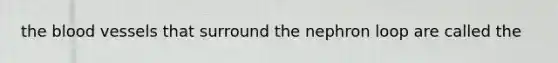 <a href='https://www.questionai.com/knowledge/k7oXMfj7lk-the-blood' class='anchor-knowledge'>the blood</a> vessels that surround the nephron loop are called the