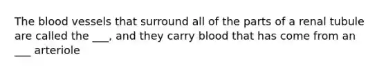 <a href='https://www.questionai.com/knowledge/k7oXMfj7lk-the-blood' class='anchor-knowledge'>the blood</a> vessels that surround all of the parts of a renal tubule are called the ___, and they carry blood that has come from an ___ arteriole