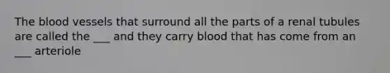 The blood vessels that surround all the parts of a renal tubules are called the ___ and they carry blood that has come from an ___ arteriole