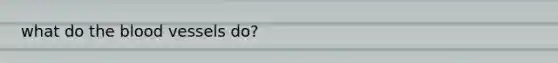 what do <a href='https://www.questionai.com/knowledge/k7oXMfj7lk-the-blood' class='anchor-knowledge'>the blood</a> vessels do?