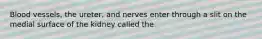 Blood vessels, the ureter, and nerves enter through a slit on the medial surface of the kidney called the