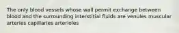 The only blood vessels whose wall permit exchange between blood and the surrounding interstitial fluids are venules muscular arteries capillaries arterioles