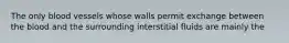 The only blood vessels whose walls permit exchange between the blood and the surrounding interstitial fluids are mainly the