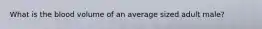 What is the blood volume of an average sized adult male?