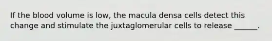 If the blood volume is low, the macula densa cells detect this change and stimulate the juxtaglomerular cells to release ______.