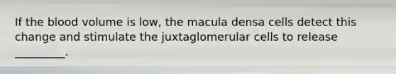 If the blood volume is low, the macula densa cells detect this change and stimulate the juxtaglomerular cells to release _________.