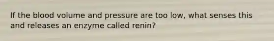 If <a href='https://www.questionai.com/knowledge/k7oXMfj7lk-the-blood' class='anchor-knowledge'>the blood</a> volume and pressure are too low, what senses this and releases an enzyme called renin?