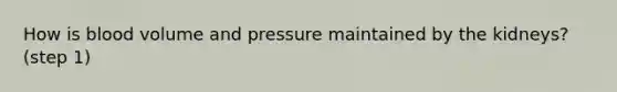 How is blood volume and pressure maintained by the kidneys? (step 1)