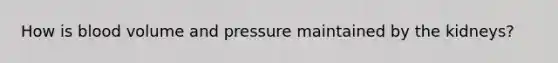 How is blood volume and pressure maintained by the kidneys?