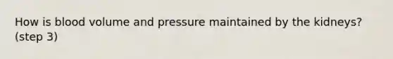 How is blood volume and pressure maintained by the kidneys?(step 3)