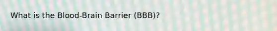 What is the Blood-Brain Barrier (BBB)?