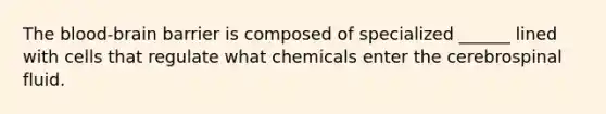 The blood-brain barrier is composed of specialized ______ lined with cells that regulate what chemicals enter the cerebrospinal fluid.