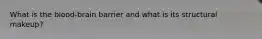 What is the blood-brain barrier and what is its structural makeup?